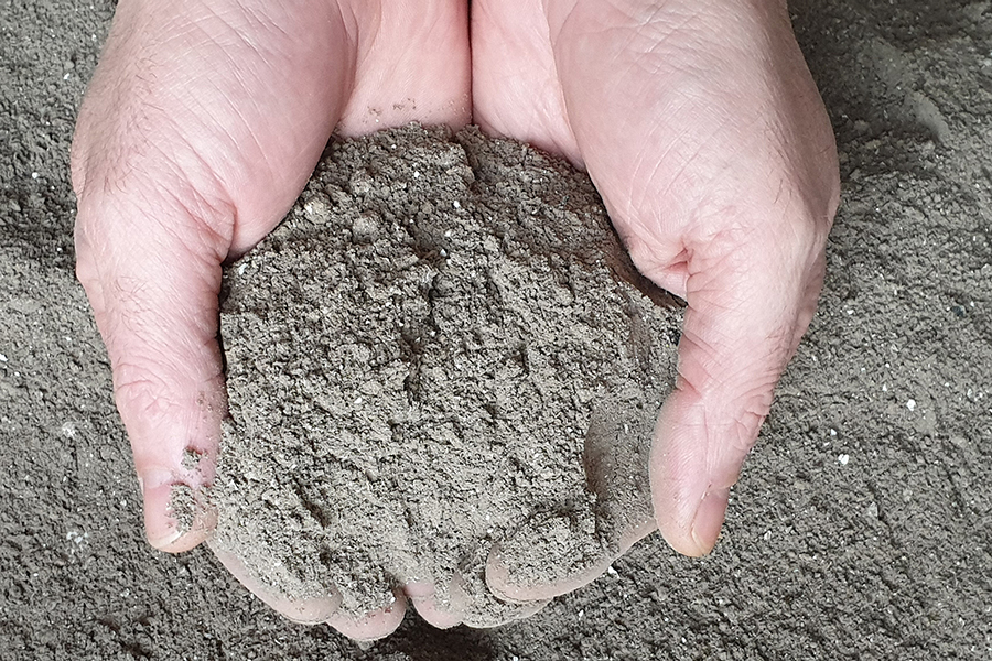 Зола как удобрение